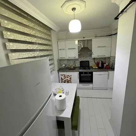 Panorama Daire